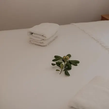 Prce Apartment